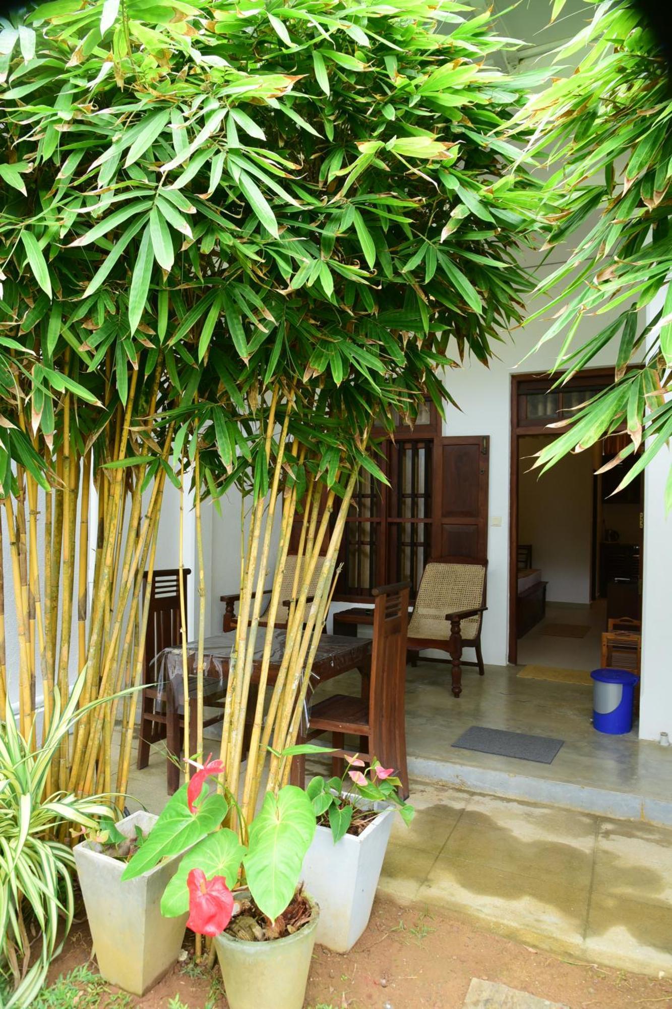 Tranquil Hikkaduwa Exterior foto